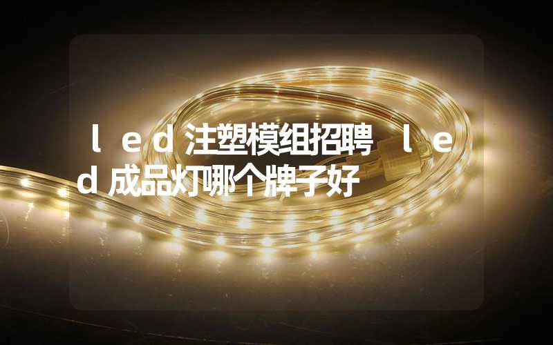 led注塑模组招聘 led成品灯哪个牌子好